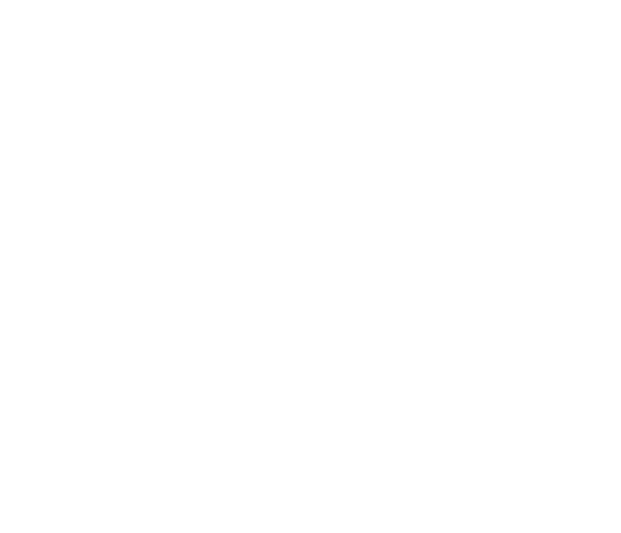 BBS Goslar-Bassgeige/Seesen
